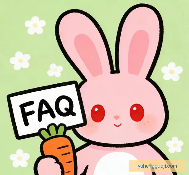 常见问题